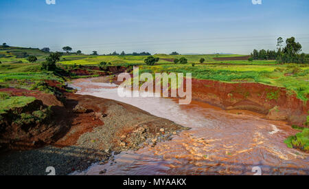 Landwirtschaft Landschaft mit Blauen Nil und Felder von Teff in Äthiopien Stockfoto