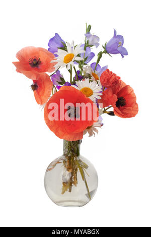 Bouquet von schönen Blumen Gänseblümchen Weizen und Mohn ohne Schatten isoliert Stockfoto