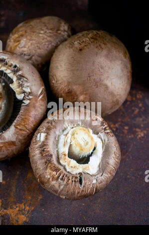 Frische große Portobello Royal Pilze mit Senf Keimsprossen close-up Stockfoto