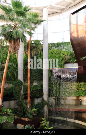 Orchidarium von Estepona an der Costa del Sol, Provinz Malaga, Andalusien, Südspanien Stockfoto