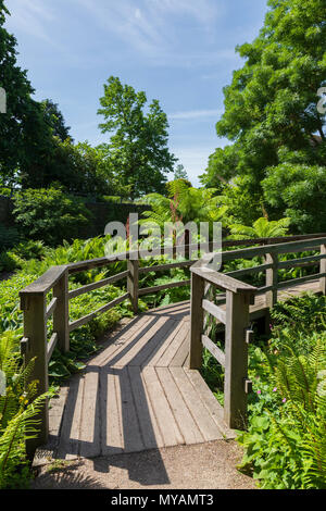 Das Robinson Garten an der RHS Gärten Hyde Hall in Essex auf eine herrliche Sommer Morgen Stockfoto