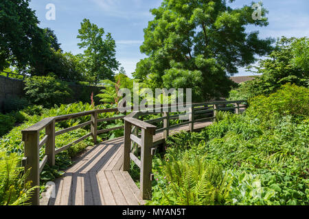 Das Robinson Garten an der RHS Gärten Hyde Hall in Essex auf eine herrliche Sommer Morgen Stockfoto