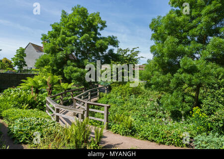 Das Robinson Garten an der RHS Gärten Hyde Hall in Essex auf eine herrliche Sommer Morgen Stockfoto