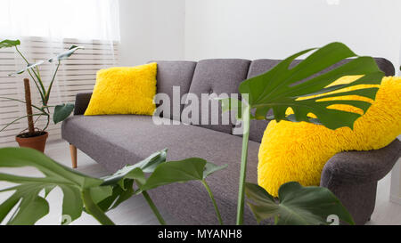 Studio Apartment mit lebenden Pflanzen. Helle Farben im Innenraum. grau gelb Sofa mit Kissen Stockfoto