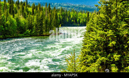 Blick auf die Stromschnellen in Bailey's Rutsche, einem engen Abschnitt in der geschwollenen Clearwater River im Wells Gray Provincial Park in den Cariboo Mountains von BC Stockfoto