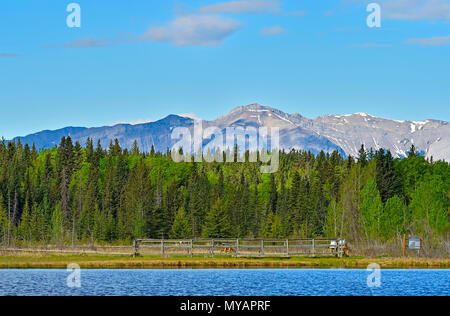 Ein Sommer Landschaft der Rocky Mountains von Alberta ab der Biber Boardwalk in Hinton Alberta Kanada gesehen Stockfoto