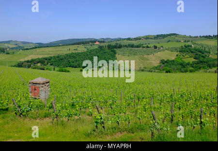 Panzano in Chianti, Toskana, Italien Stockfoto