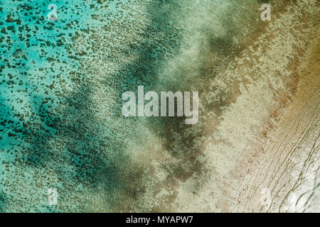 Luftaufnahme des abstrakten Designs und verschiedener Braun-, Grün- und Blautöne in einem Korallenriff Stockfoto