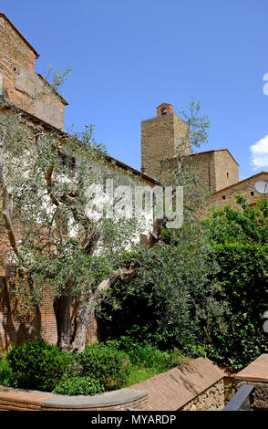 Vinci, Toskana, Italien Stockfoto