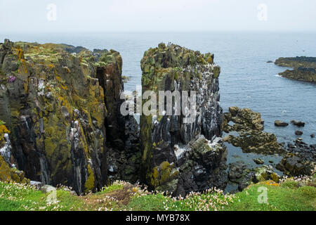 Klippen bei Lady's Bett auf der Insel kann National Nature Reserve, Erhabene, Schottland, Großbritannien Stockfoto