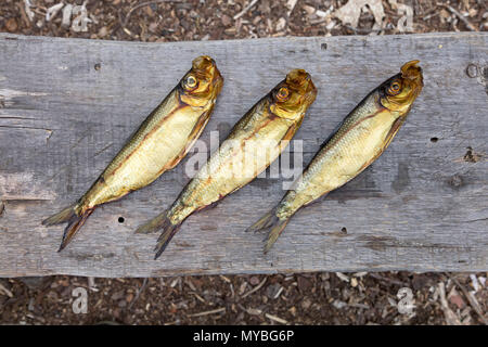 Drei getrockneten alewives aus der Räucherei in Maine, USA. Stockfoto