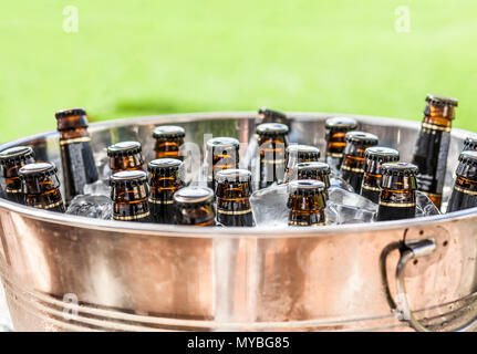 Bier Flaschen auf Eis Eimer mit grünem Gras Hintergrund. Nahaufnahme Stockfoto