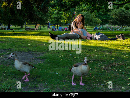 Paar entspannende auf Gras, zwei Enten wandern im Vordergrund, St James's Park, London, England, Großbritannien Stockfoto