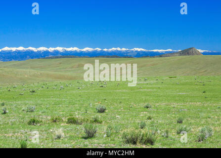 Die hogback und entfernten Tabak Root Berge in der Nähe von Dillon, Montana Stockfoto