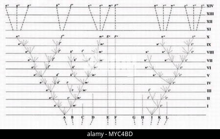 . Der Baum des Lebens Bild, die in Darwin Über die Entstehung der Arten durch natürliche Selektion, 1859 erschienen. Dies ist das einzige Bild von der Entstehung der Arten., Darwin verwendet diesen Baum des Lebens (TOL) als Modell für die Theorie der Evolution. Von Http://www.physorg.com/news92912140.html hochgeladen. Diese Datei fehlt, Informationen zum Autor. 132 Darwins Baum des Lebens 1859 Stockfoto