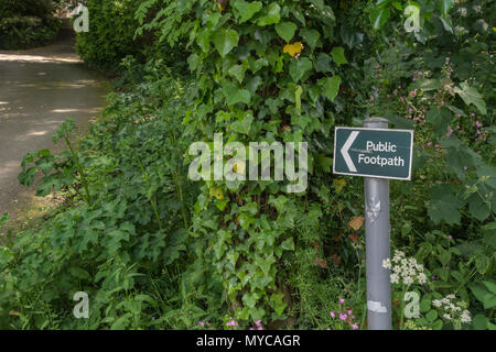 Öffentliches Fußwegschild in der Nähe von Truro, Cornwall. Bleiben Sie auf dem richtigen Weg, auf der richtigen Weg-Metapher, Wegweiser Großbritannien, Wegweiser für öffentliche Fußwege Großbritannien. Stockfoto