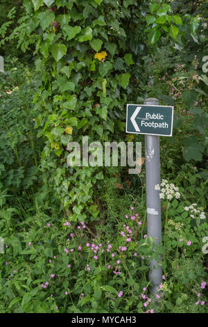 Öffentliches Fußwegschild in der Nähe von Truro, Cornwall. Bleiben Sie auf dem richtigen Weg, auf der richtigen Weg-Metapher, Wegweiser Großbritannien, Wegweiser für öffentliche Fußwege Großbritannien. Stockfoto