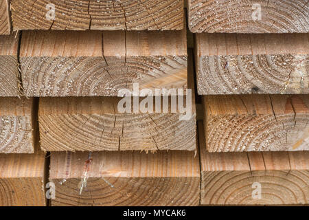 Ordentlich gestapelte Holzbohlen. Querschnitt des Holzes. Stockfoto