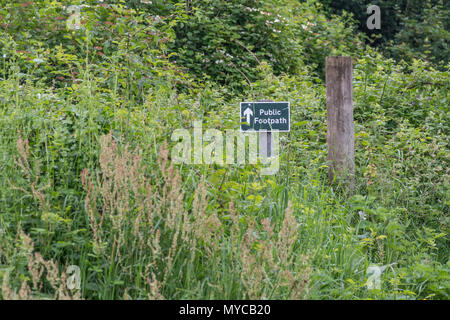 Öffentlicher Fußweg Schild - der eigentliche Fußweg mit Gras und Unkraut überwuchert. Bleiben Sie auf dem richtigen Weg Parodie, UK Walking Wegweiser, Unkraut wächst auf dem Weg. Stockfoto