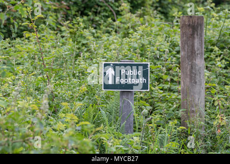 Öffentlicher Fußweg Schild - der eigentliche Fußweg mit Gras und Unkraut überwuchert. Bleiben Sie auf dem richtigen Weg Parodie, UK Walking Wegweiser, Unkraut wächst auf dem Weg. Stockfoto