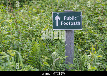 Öffentlicher Fußweg Schild - der eigentliche Fußweg mit Gras und Unkraut überwuchert. Bleiben Sie auf dem richtigen Weg Parodie, UK Walking Wegweiser, Unkraut wächst auf dem Weg. Stockfoto