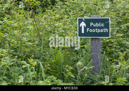 Öffentlicher Fußweg Schild - der eigentliche Fußweg mit Gras und Unkraut überwuchert. Bleiben Sie auf dem richtigen Weg Parodie, UK Walking Wegweiser, Unkraut wächst auf dem Weg. Stockfoto