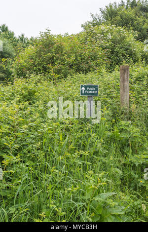 Öffentlicher Fußweg Schild - der eigentliche Fußweg mit Gras und Unkraut überwuchert. Bleiben Sie auf dem richtigen Weg Parodie, UK Walking Wegweiser, Unkraut wächst auf dem Weg. Stockfoto