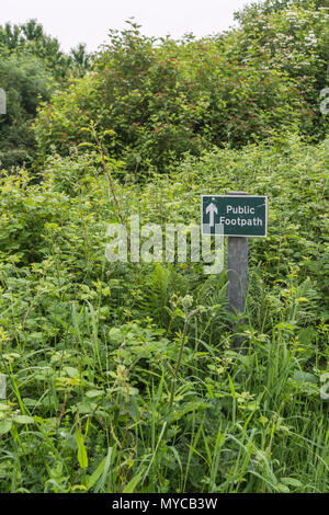 Öffentlicher Fußweg Schild - der eigentliche Fußweg mit Gras und Unkraut überwuchert. Bleiben Sie auf dem richtigen Weg Parodie, UK Walking Wegweiser, Unkraut wächst auf dem Weg. Stockfoto