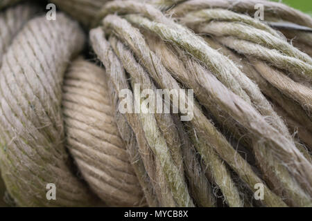 Makrofoto von ausgefransten Enden eines dicken Naturfaserseils. Nahaufnahme des Seils. Stockfoto