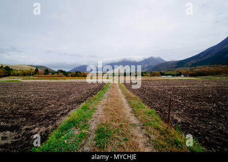 Ranch in Japan yufuin, Beppu-shi, Higashiyama im Herbst, rote Blätter Saison Stockfoto