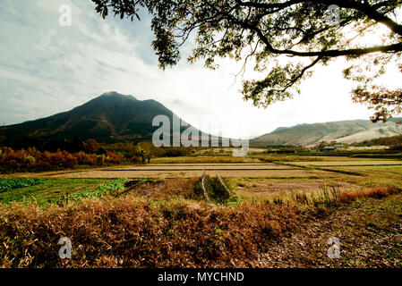 Ranch in Japan yufuin, Beppu-shi, Higashiyama im Herbst, rote Blätter Saison Stockfoto