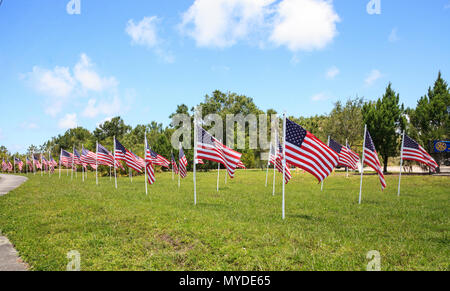 Patriotische Anzeige von mehreren großen amerikanischen Flaggen im Wind während der Ferien. Stockfoto