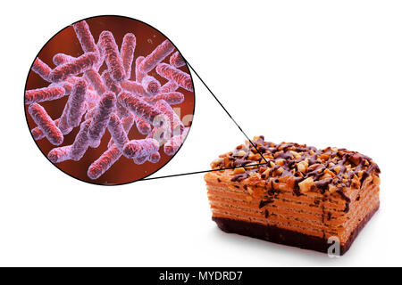 Lebensmittelbedingten Infektionen, konzeptionelle Darstellung. Eine lebensmittelbedingte Infektion ist eine ansteckende Krankheit, die nach der Einnahme von pathogenen Mikroorganismen mit Nahrungsmitteln entwickelt. Viele Bakterien sind Erreger von lebensmittelbedingten Infektionen, einschließlich enterobacteriaceae Bakterien wie Escherichia coli, Shigella sp., Salmonella Sp.. Stockfoto