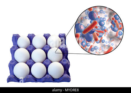 Übertragung von lebensmittelbedingten Infektionen von Hühnereiern, konzeptionelle Darstellung. Hühnereier sind oft mit unterschiedlichen Mikroorganismen, insbesondere Salmonella, Listeria und Staphylococcus aureus kontaminiert, dass der Erreger kann der Nahrung werden übertragbare Krankheiten. Stockfoto