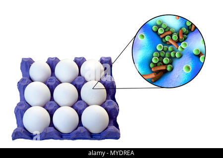 Übertragung von lebensmittelbedingten Infektionen von Hühnereiern, konzeptionelle Darstellung. Hühnereier sind oft mit unterschiedlichen Mikroorganismen, insbesondere Salmonella, Listeria und Staphylococcus aureus kontaminiert, dass der Erreger kann der Nahrung werden übertragbare Krankheiten. Stockfoto