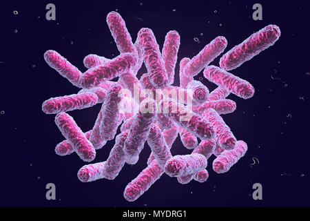 Enterobacteriaceae Bakterien, computer Abbildung. Diese sind Gram-negative stäbchenförmige Bakterien. Die Familie Enterobacteriaceae mit den Gattungen Escherichia, Shigellen, Salmonellen, Klebsiella, Yersinia, Citrobacter und Enterobacter. Einige dieser Bakterien verursachen Durchfallerkrankungen Infektionen (Salmonellen, Shigellen). Andere sind Vertreter der normalen Mikrobiom des Darm und andere Organe (Escherichia coli, Klebsiella spp.), sondern auch Krankheit in bestimmten Orten (chirurgische Wundinfektionen, Harnwegsinfektionen) oder im Falle einer verringerten Störfestigkeit (Pneumonie bei postoperativen verursachen Stockfoto