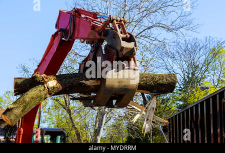 Protokolle von Baum hydraulische Manipulator geladen wird - Traktor Stockfoto