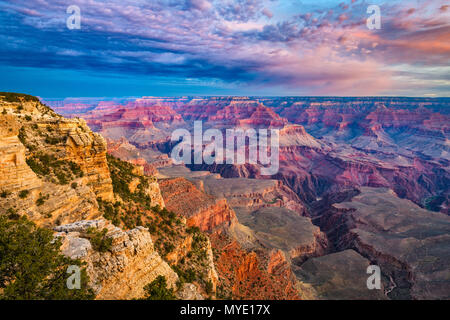 Grand Canyon, Arizona, USA in der Morgendämmerung vom South Rim. Stockfoto