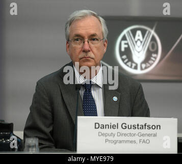 Rom, FAO in Rom. 6. Juni, 2018. Die UN-Organisation für Ernährung und Landwirtschaft (FAO) Stellvertretender Generaldirektor für Programme Daniel Gustafson nimmt an den FAO-Veranstaltung, bei der FAO in Rom, Italien Am 6. Juni 2018. Der Austausch von Erfahrungen durch Süd-Süd-Kooperation war ein 'Werkzeug', um Armut und Hunger Tilgung, Beamte bei einer Veranstaltung in der FAO sagte am Mittwoch. Credit: Alberto Lingria/Xinhua/Alamy leben Nachrichten Stockfoto