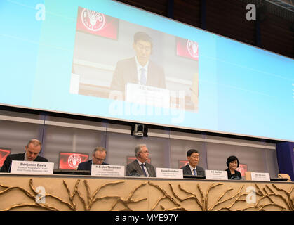 Rom, FAO in Rom. 6. Juni, 2018. Niu Dun (2. R), Botschafter und Ständiger Vertreter von China für die UN-Organisation für Ernährung und Landwirtschaft (FAO) besucht die FAO - Veranstaltung, bei der FAO in Rom, Italien Am 6. Juni 2018. Der Austausch von Erfahrungen durch Süd-Süd-Kooperation war ein 'Werkzeug', um Armut und Hunger Tilgung, Beamte bei einer Veranstaltung in der FAO sagte am Mittwoch. Credit: Alberto Lingria/Xinhua/Alamy leben Nachrichten Stockfoto
