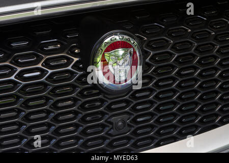 Torino, Italien. 7. Juni 2018. Jaguar Badge auf dem Kühlergrill von Jaguar I-Tempo. 2018 Edition von Parco Valentino Auto show hosts Autos vieler Automobilhersteller und Konstrukteure in Valentino Park in Turin, Italien Quelle: Marco Destefanis/Alamy leben Nachrichten Stockfoto