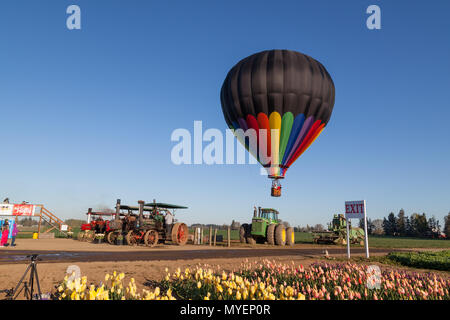 WOODBURN, Oregon - April 13, 2014: ein Heißluftballon einen Flug am Morgen über eine blühende Tulpen Feld und alte Traktoren in Woodburn, oder am 13. April Stockfoto