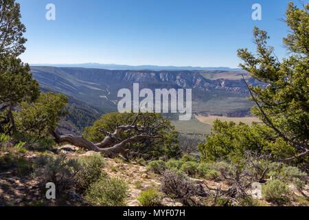 Blick von Canyon Overlook von Echo Park Road in Colorado und Utah im Dinosaur National Monument. Stockfoto