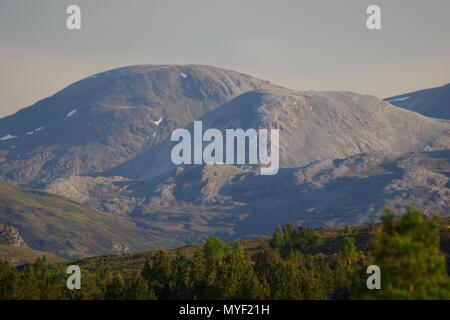 Bergmassiv mit letzten Schneeflecken, jenseits von Scots Pine Forest. Beinn Eighe NNR, Kinlochewe, Schottland, Großbritannien. Stockfoto