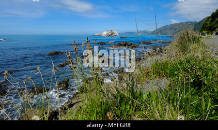 Felsen am Strand am sonnigen Tag in South Island, Neuseeland. Stockfoto