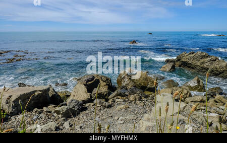 Felsen am Strand am sonnigen Tag in South Island, Neuseeland. Stockfoto