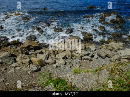 Felsen am Strand am sonnigen Tag in South Island, Neuseeland. Stockfoto