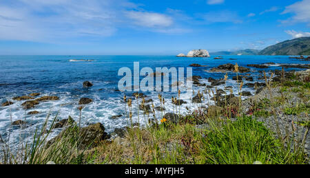 Felsen am Strand am sonnigen Tag in South Island, Neuseeland. Stockfoto