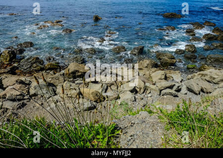 Felsen am Strand am sonnigen Tag in South Island, Neuseeland. Stockfoto