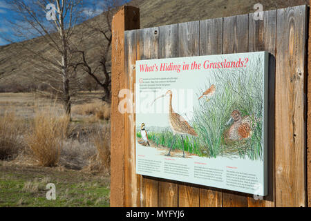 Discovery Marsh Nature Trail Interpretive board, Tule Lake National Wildlife Refuge, Kalifornien Stockfoto